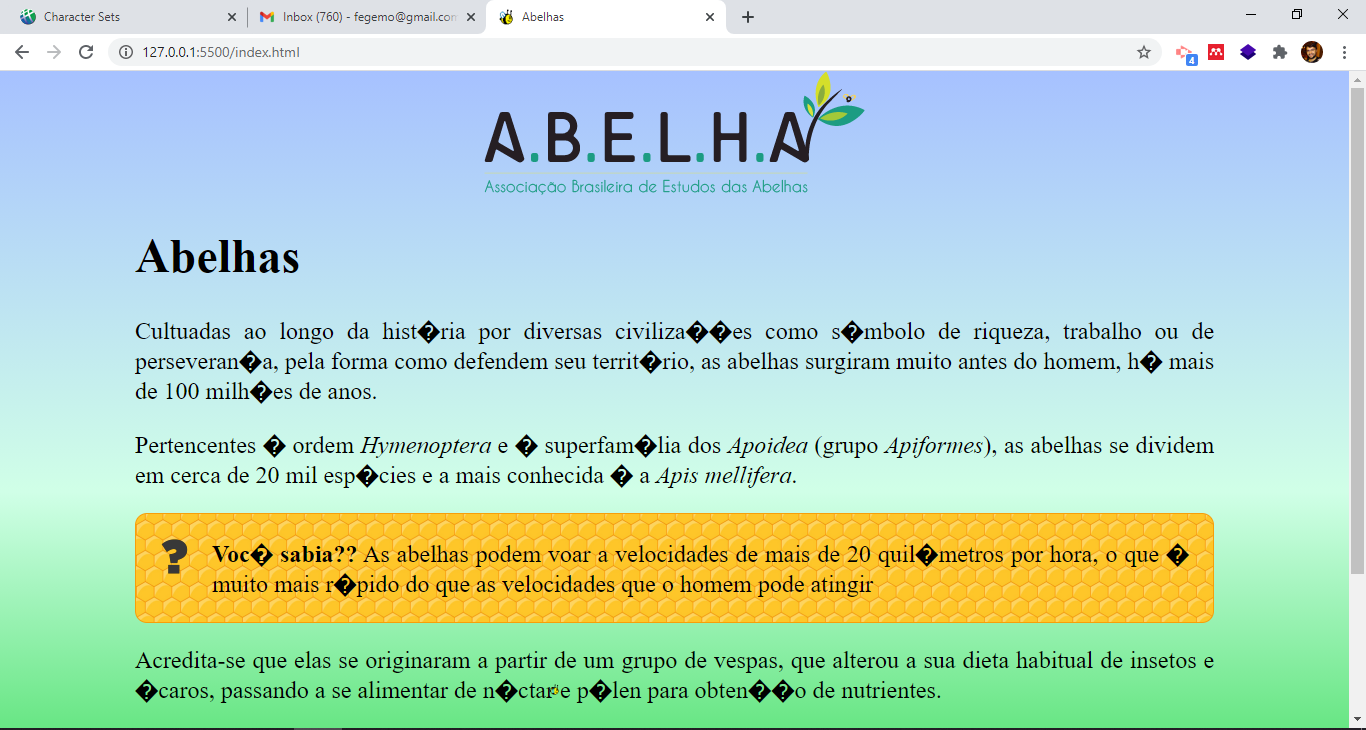 Uma página web com caracteres não reconhecidos devido a um problema de codificação